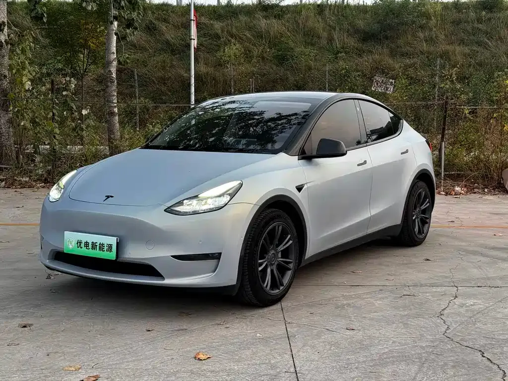 Tesla Model Y — фото 1