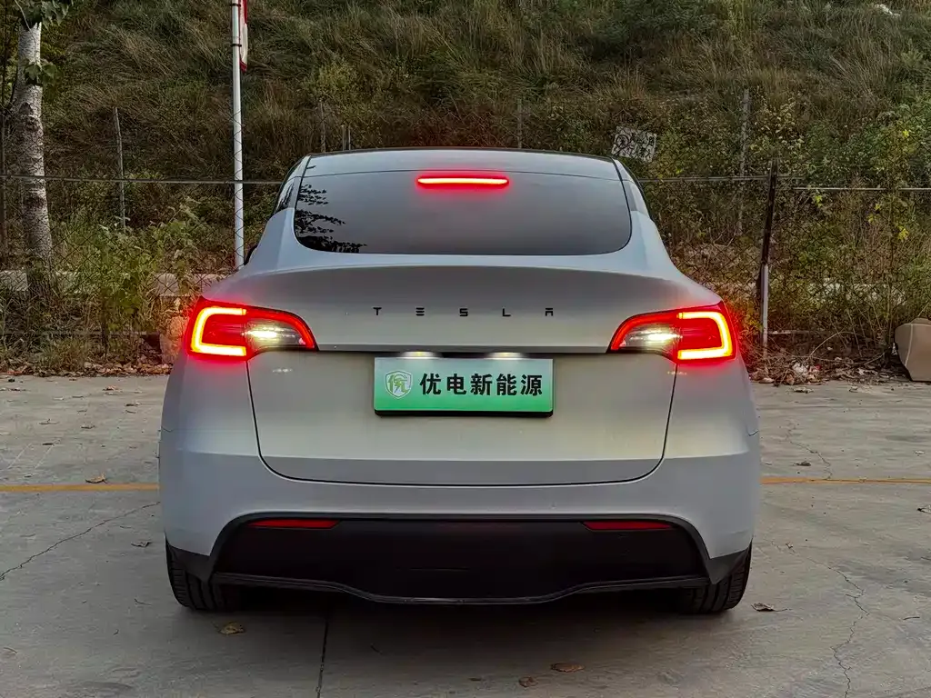 Tesla Model Y — фото 6