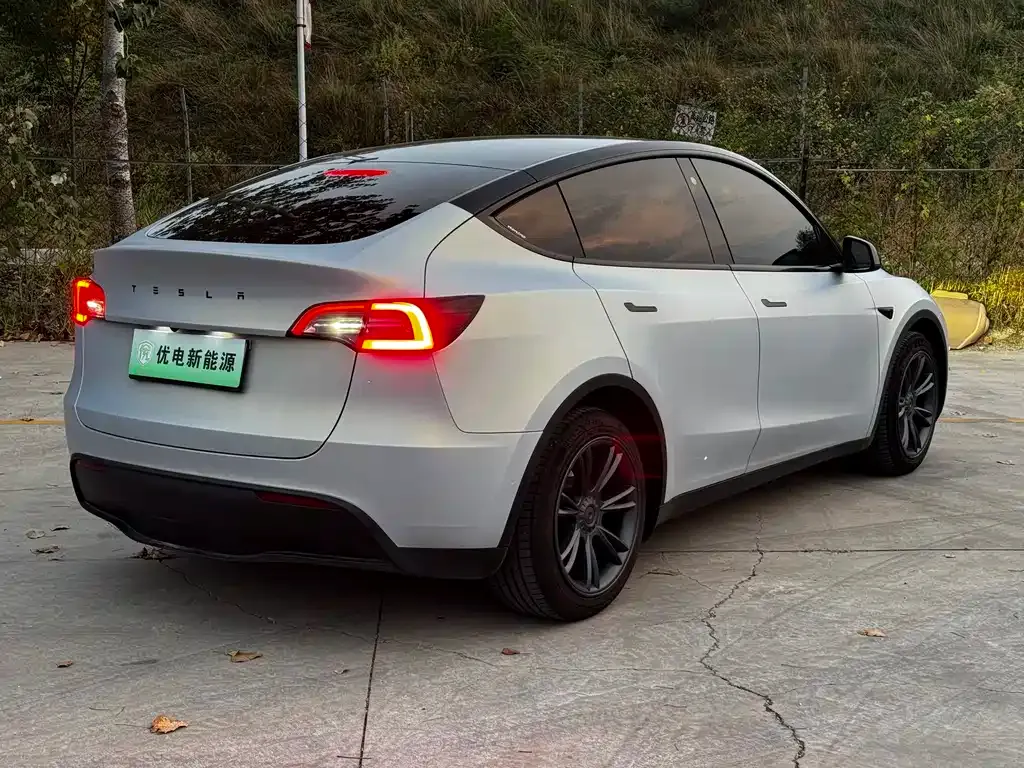 Tesla Model Y — фото 4