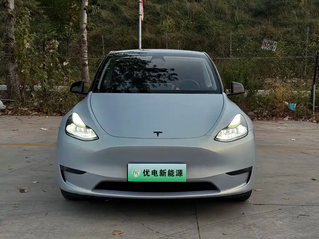 Tesla Model Y — фото 8