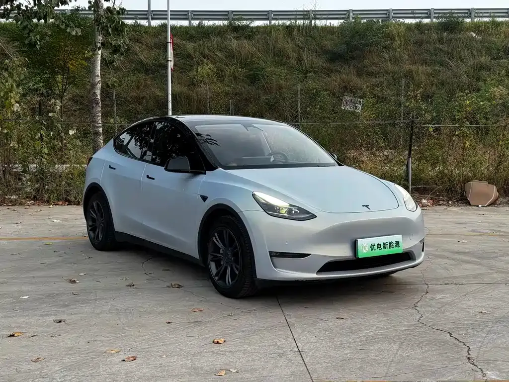 Tesla Model Y — фото 10