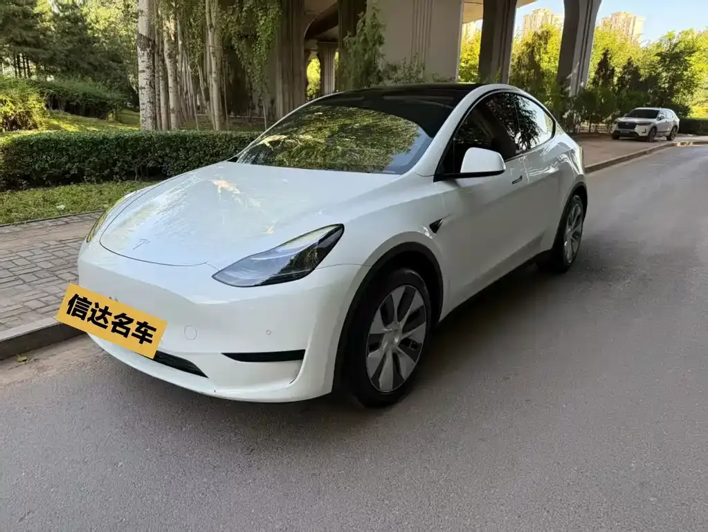 Tesla Model Y — фото 1