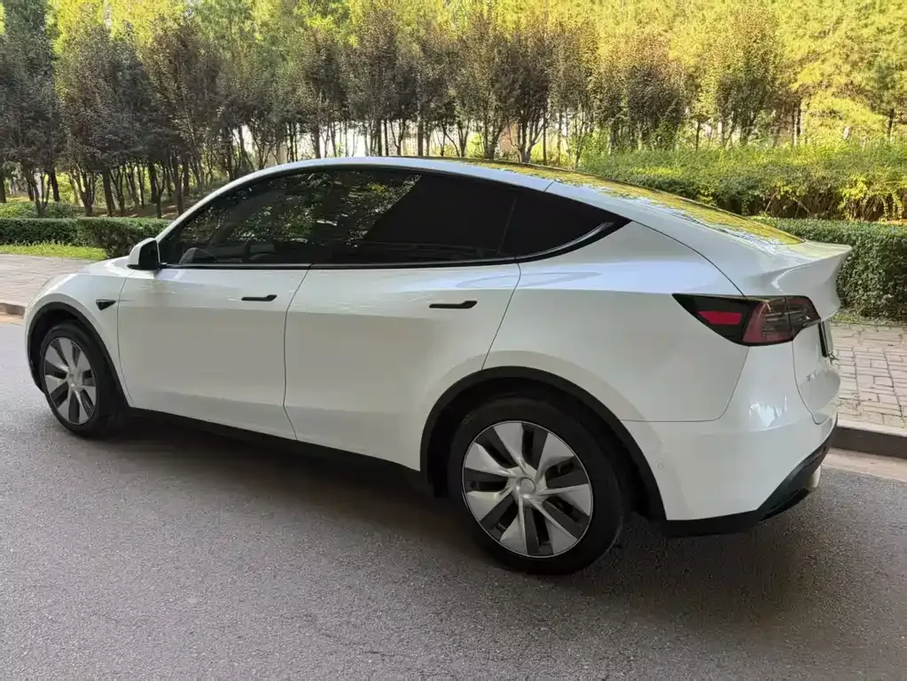 Tesla Model Y — фото 8