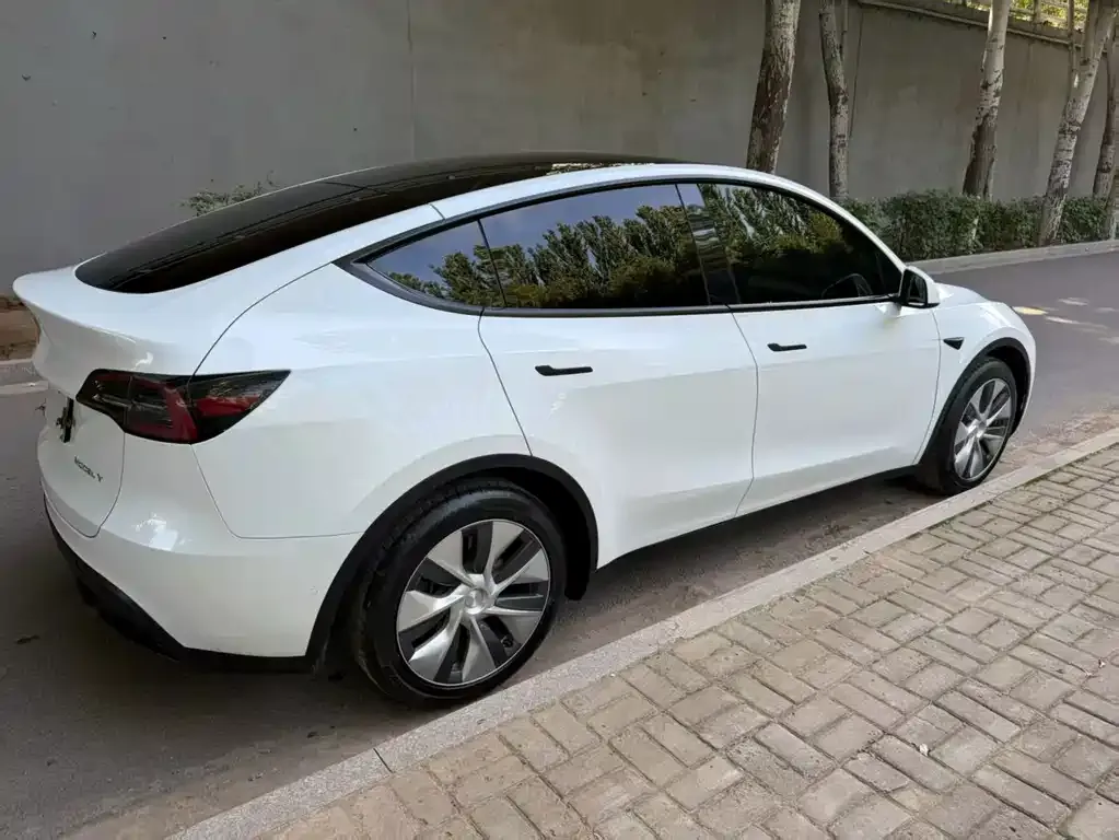 Tesla Model Y — фото 5
