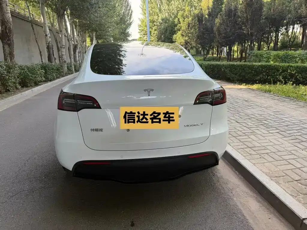 Tesla Model Y — фото 7