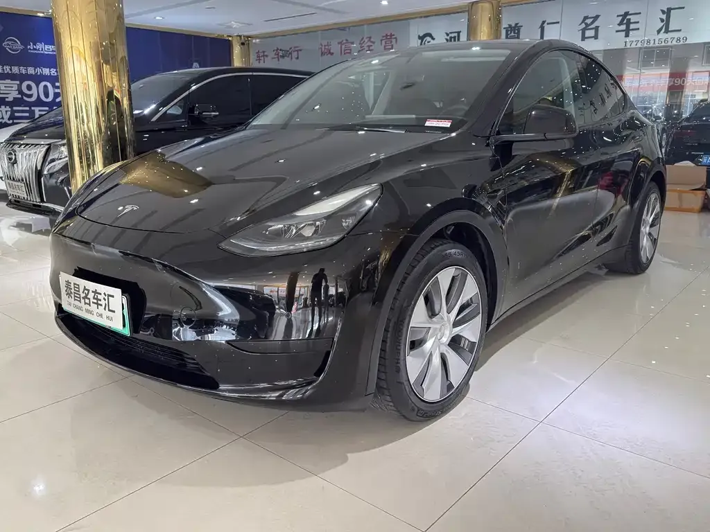 Tesla Model Y — фото 1
