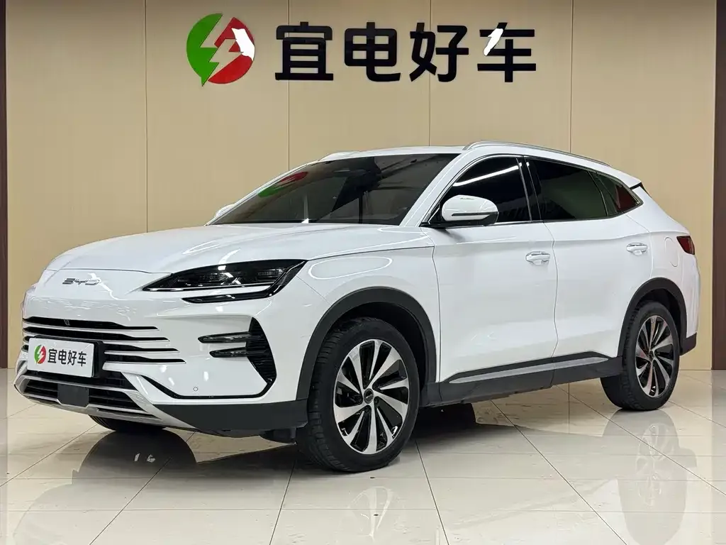 BYD PLUS New Energy — фото 1