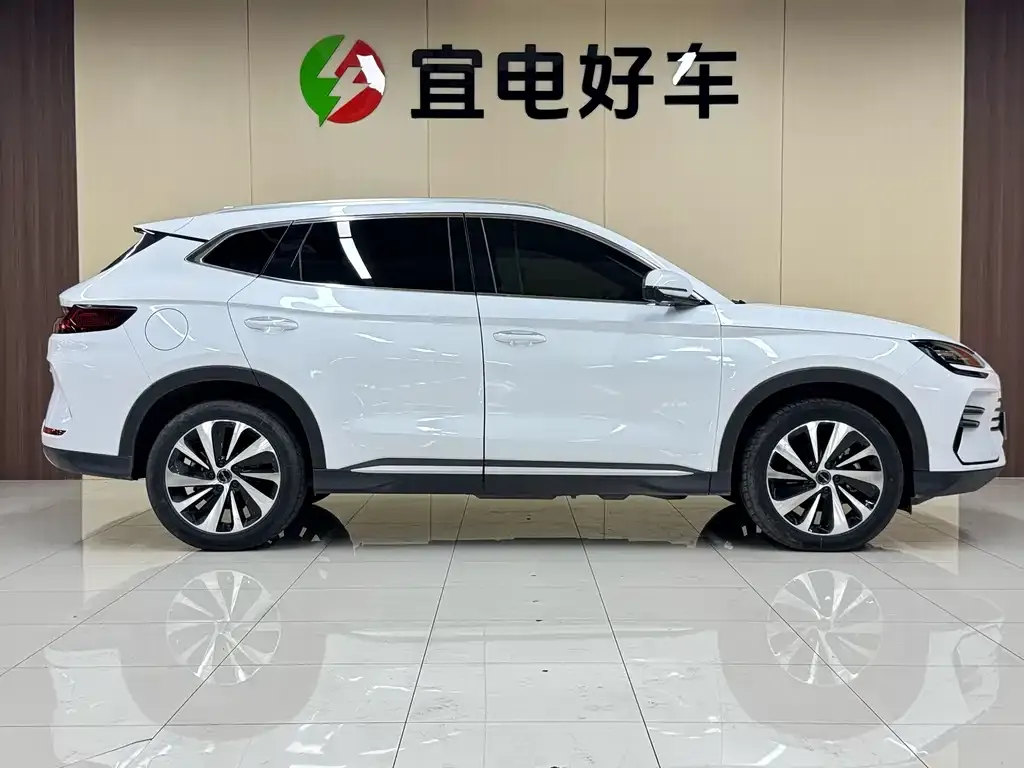 BYD PLUS New Energy — фото 10