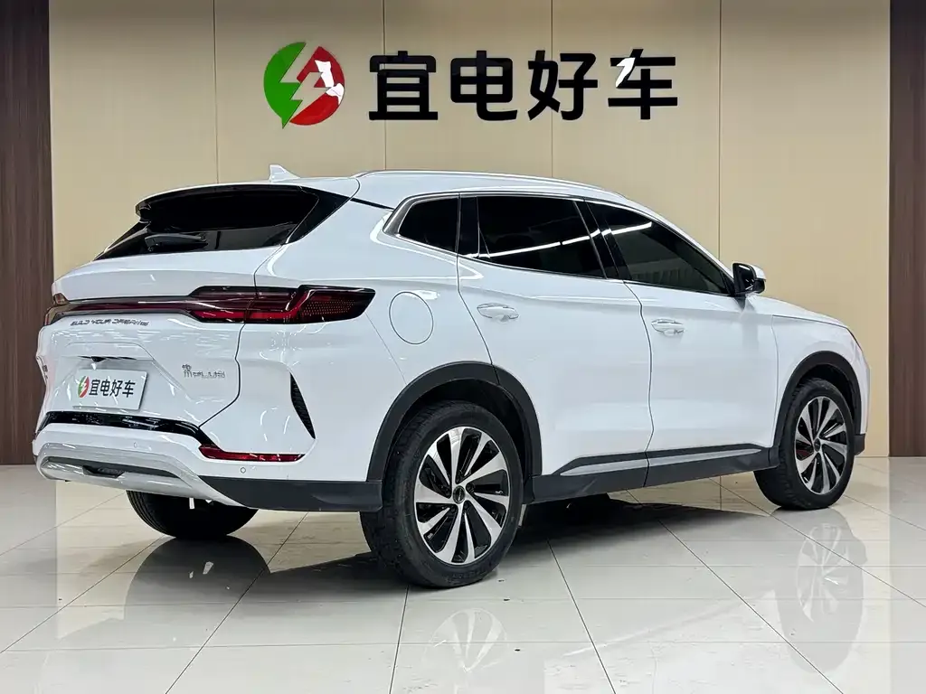 BYD PLUS New Energy — фото 2