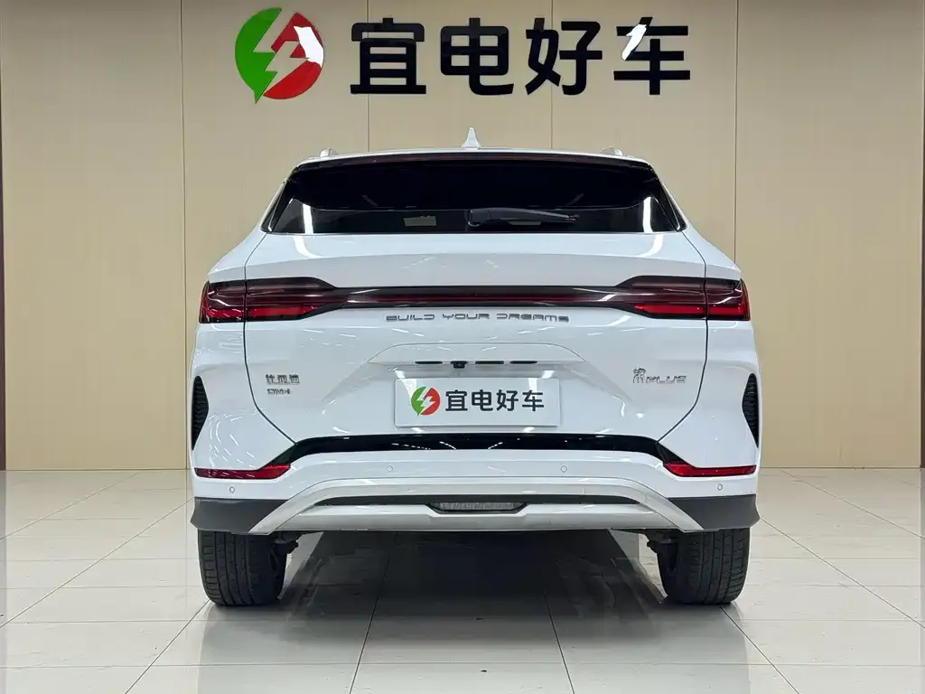 BYD PLUS New Energy — фото 5