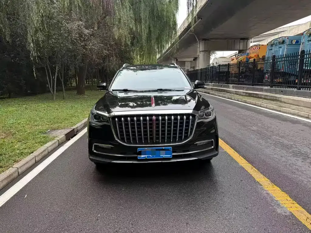 Hongqi HS7 — фото 10