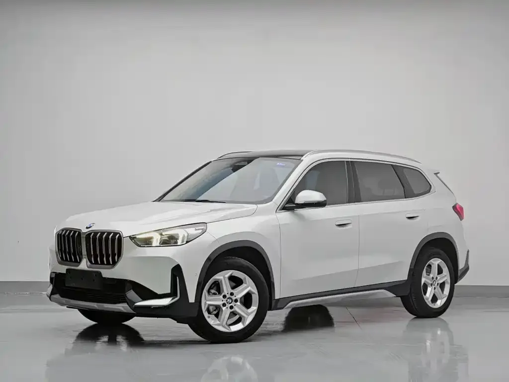BMW X1 — фото 1