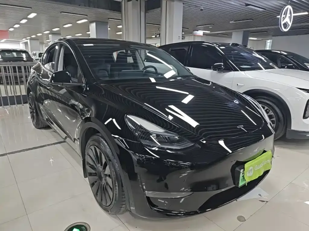 Tesla Model Y — фото 10