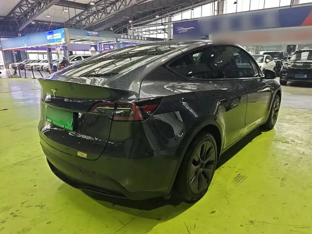 Tesla Model Y — фото 3