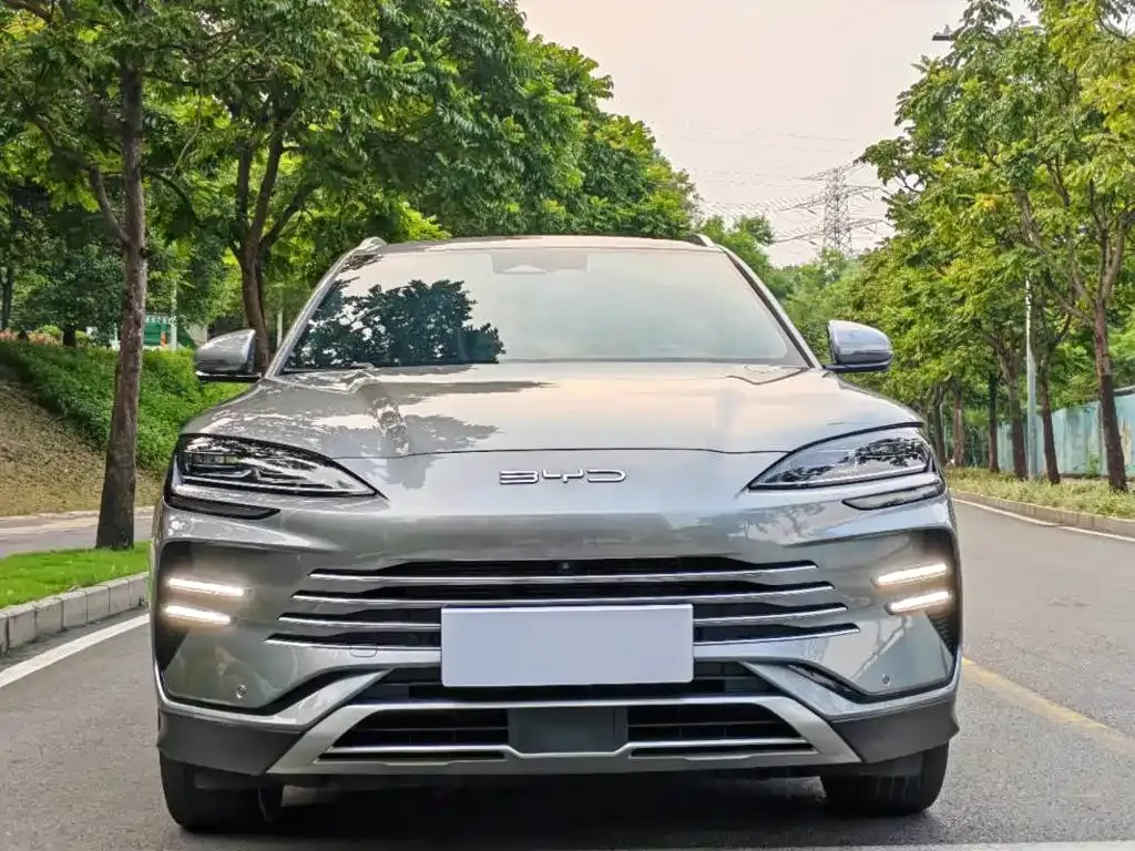 BYD PLUS New Energy — фото 2