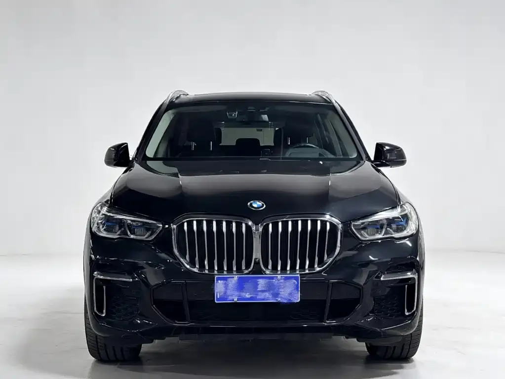 BMW X5 — фото 8