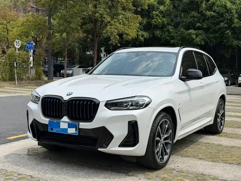 BMW X3 — фото 1