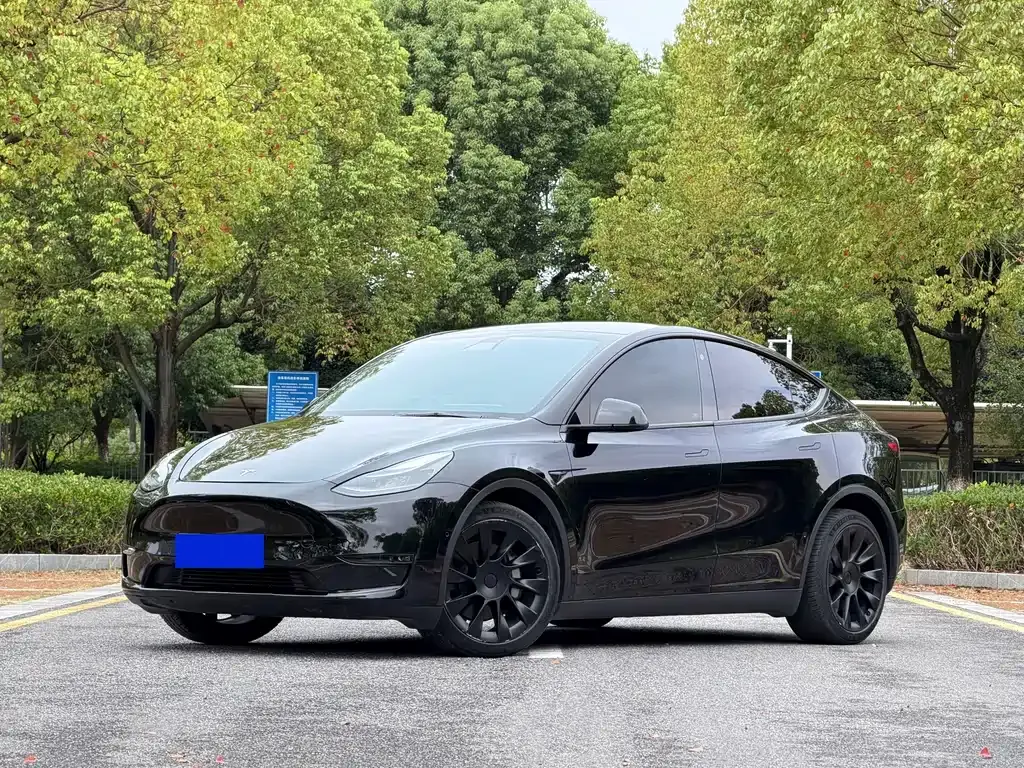 Tesla Model Y — фото 1