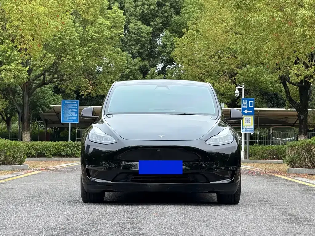 Tesla Model Y — фото 5