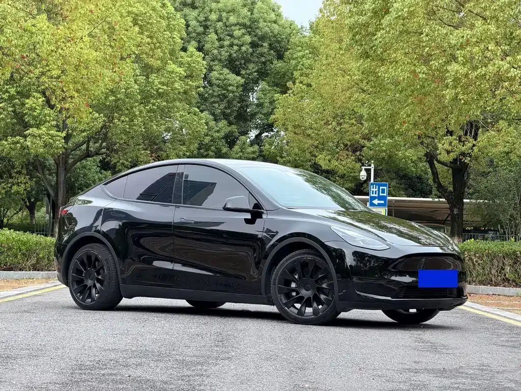 Tesla Model Y — фото 8