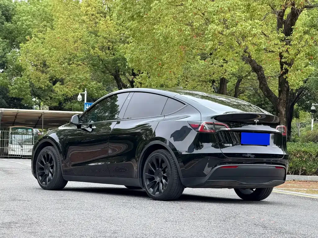 Tesla Model Y — фото 7