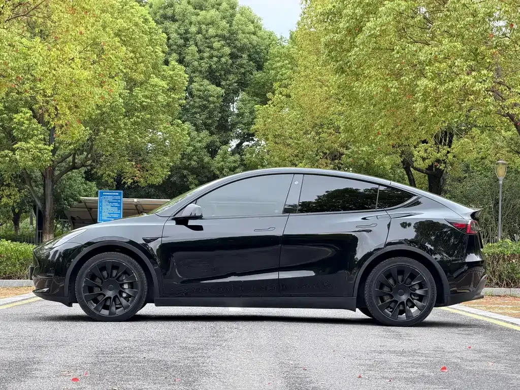 Tesla Model Y — фото 10