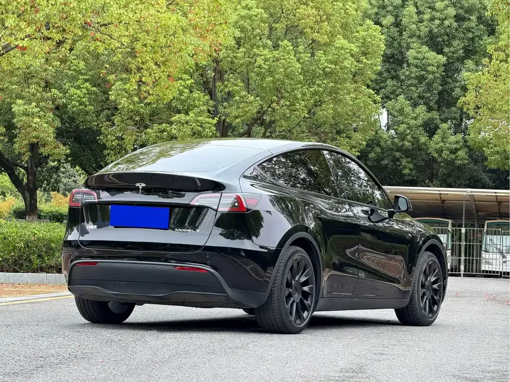Tesla Model Y — фото 9