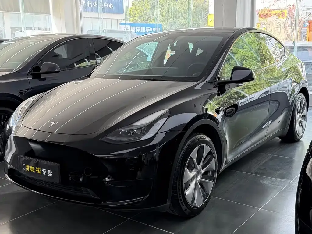 Tesla Model Y — фото 1