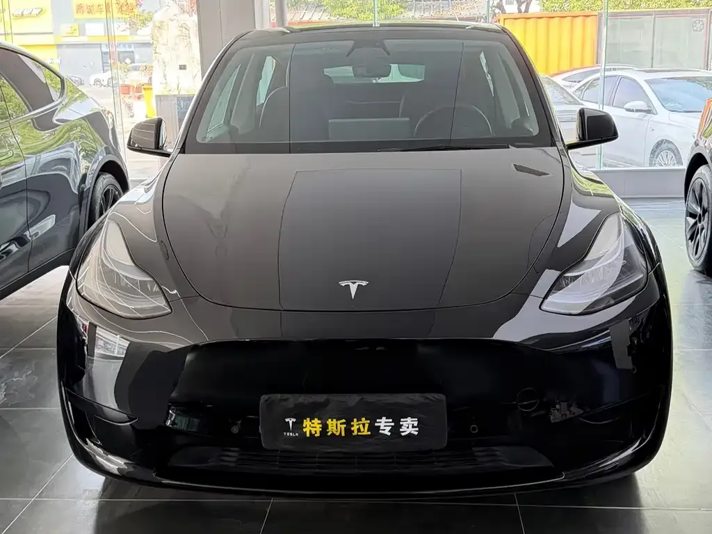 Tesla Model Y — фото 9
