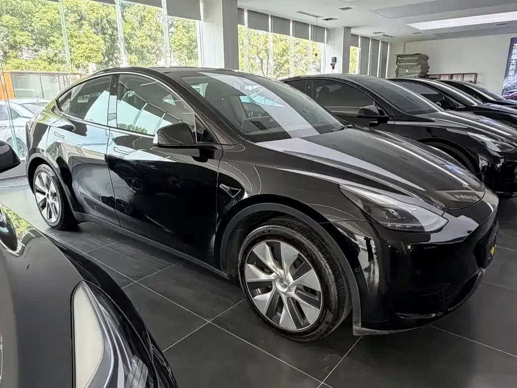 Tesla Model Y — фото 5