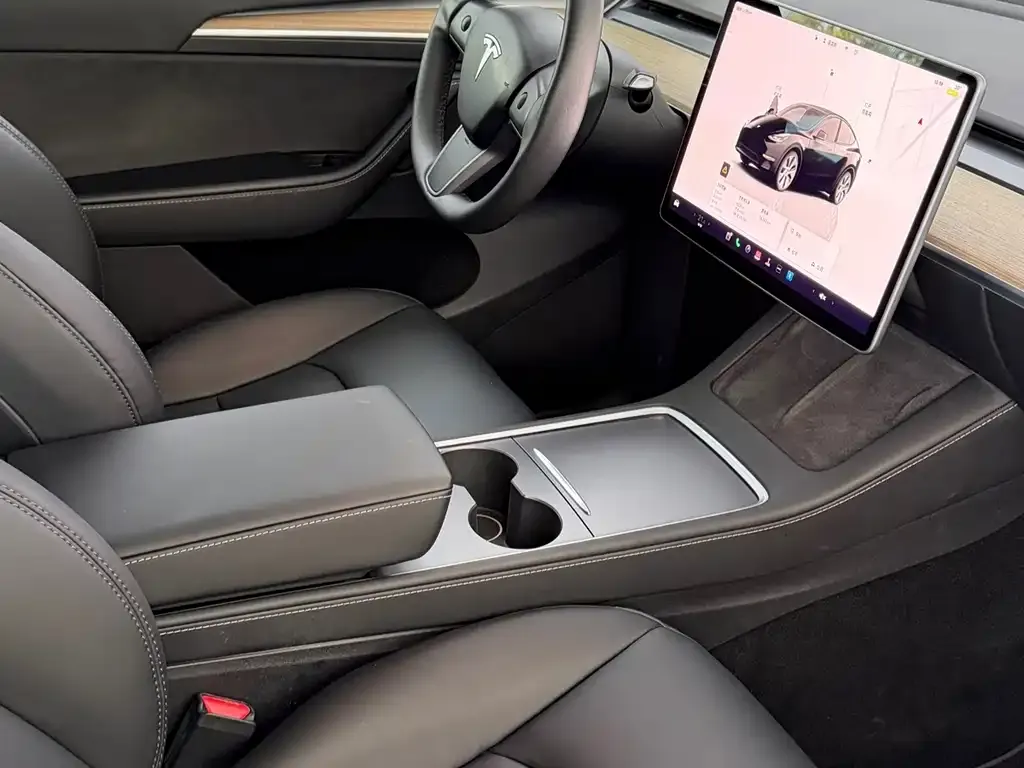 Tesla Model Y — фото 6