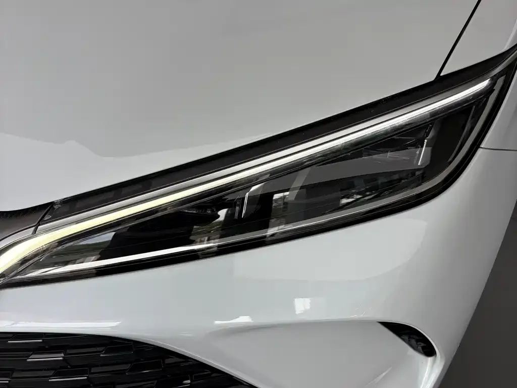 BYD L DM-i — фото 6