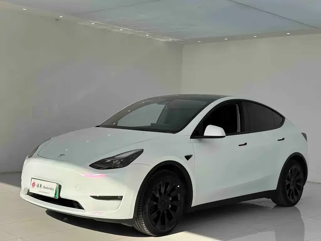 Tesla Model Y — фото 2