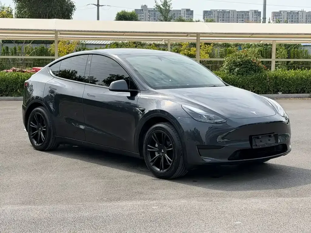 Tesla Model Y — фото 9