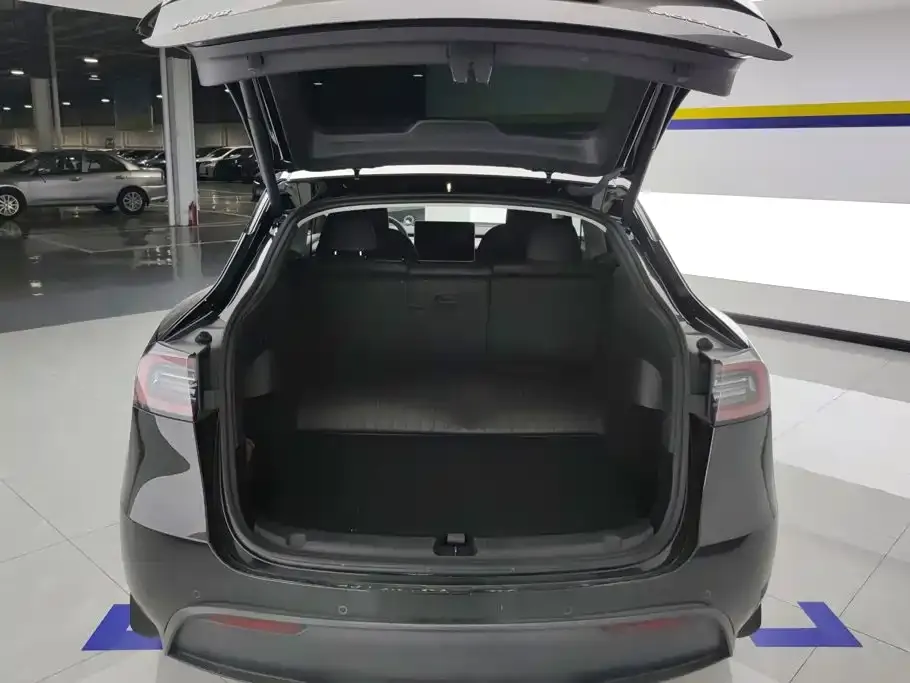 Tesla Model Y — фото 10