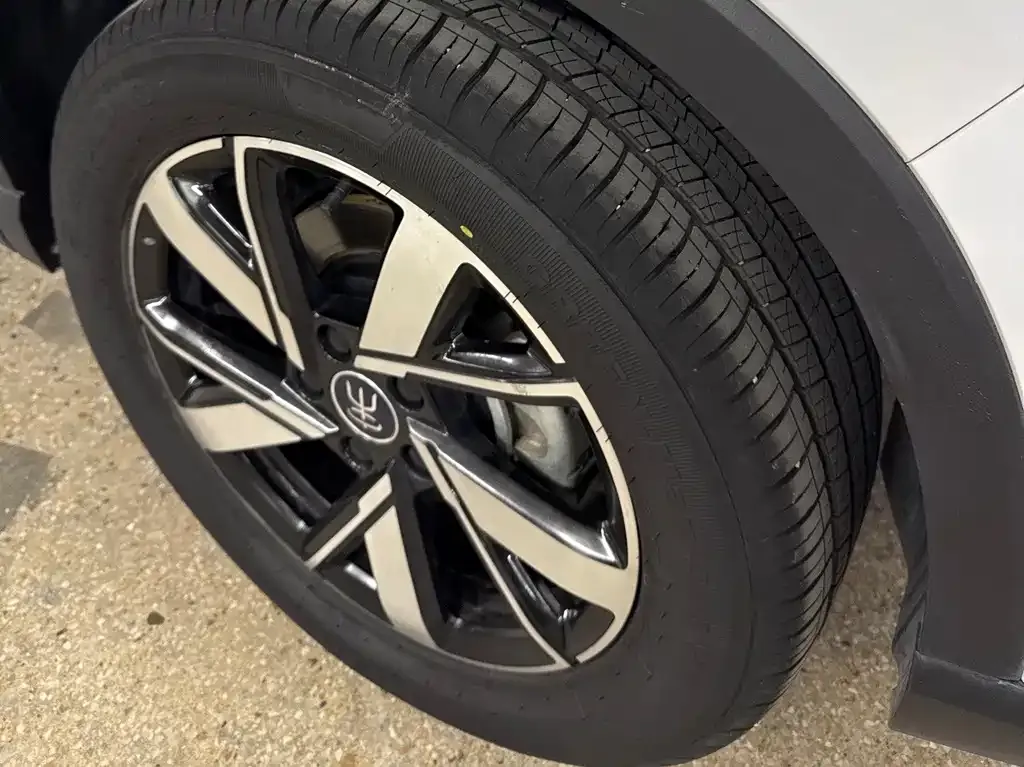 BYD Pro New Energy — фото 2