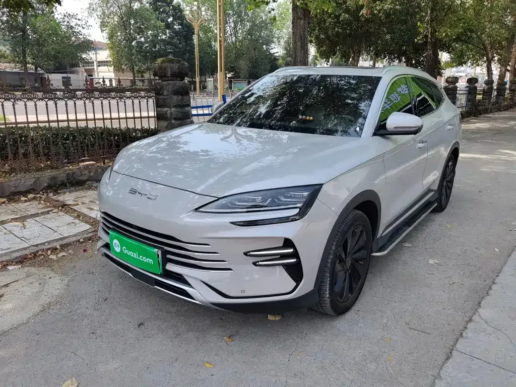 BYD PLUS New Energy — фото 1
