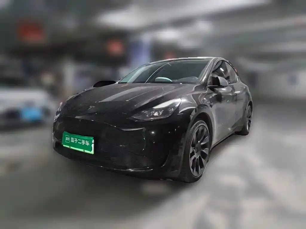 Tesla Model Y — фото 5