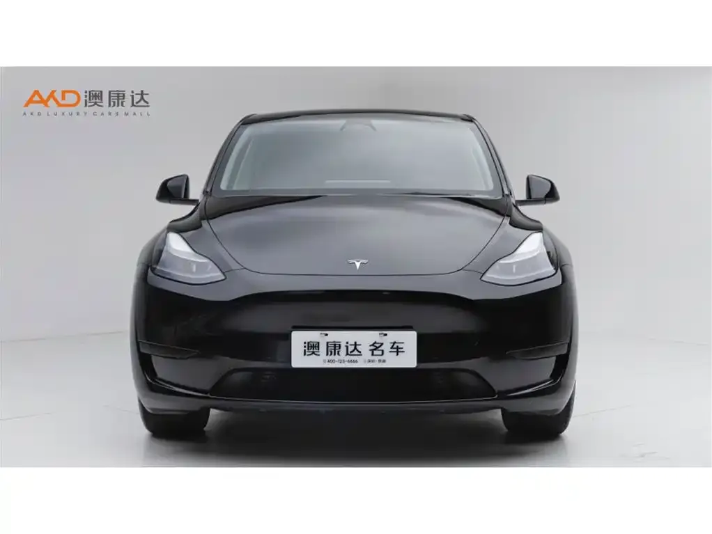 Tesla Model Y — фото 7