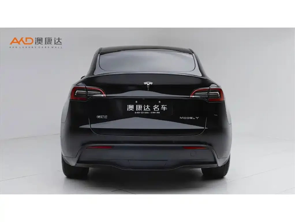 Tesla Model Y — фото 4