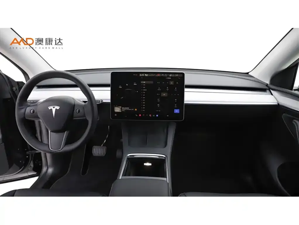 Tesla Model Y — фото 9