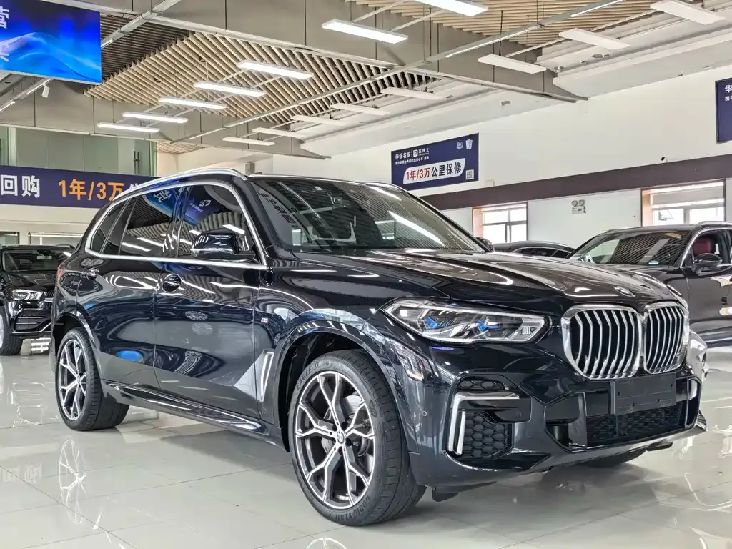 BMW X5 — фото 10