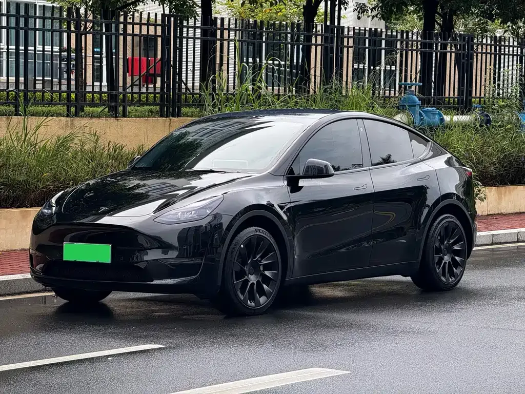 Tesla Model Y — фото 1