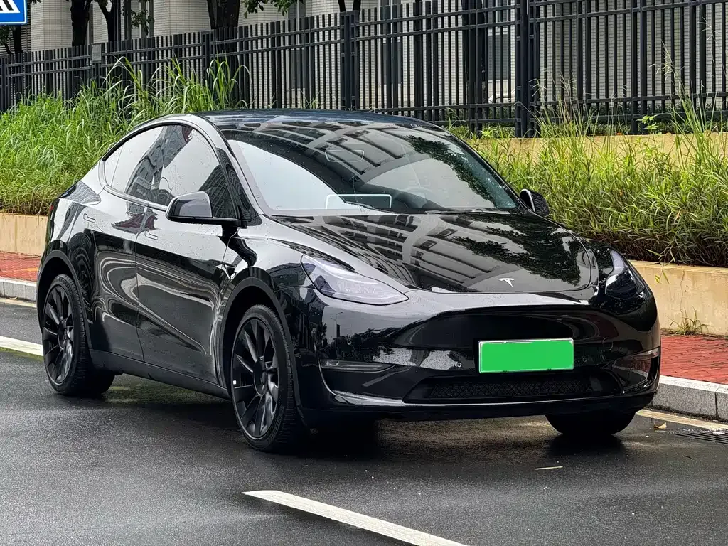 Tesla Model Y — фото 5