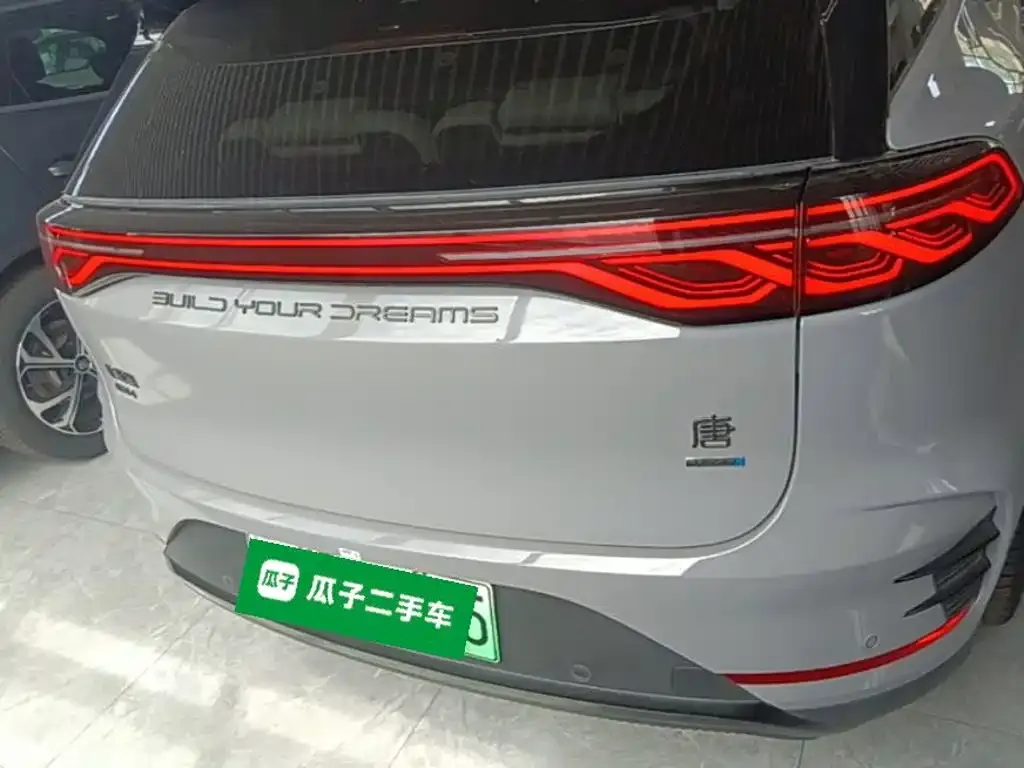 BYD Tang New Energy — фото 6