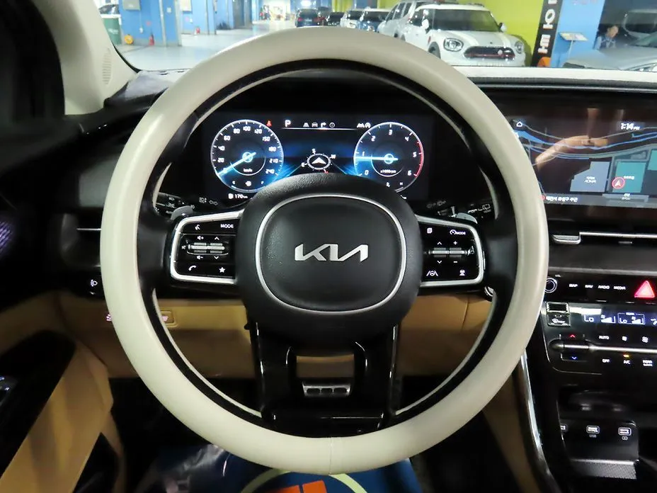 Kia Carnival — фото 10