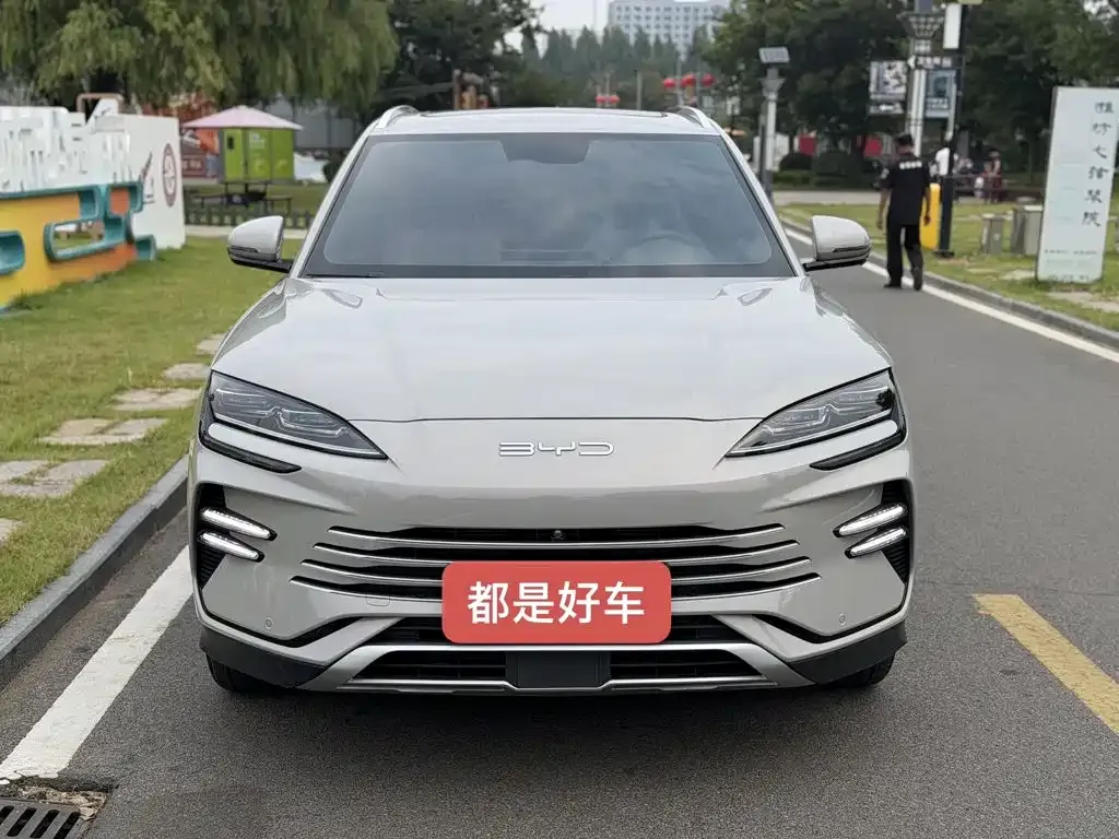 BYD PLUS New Energy — фото 4