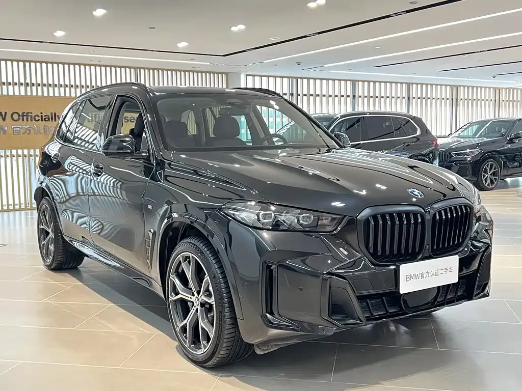 BMW X5 — фото 8