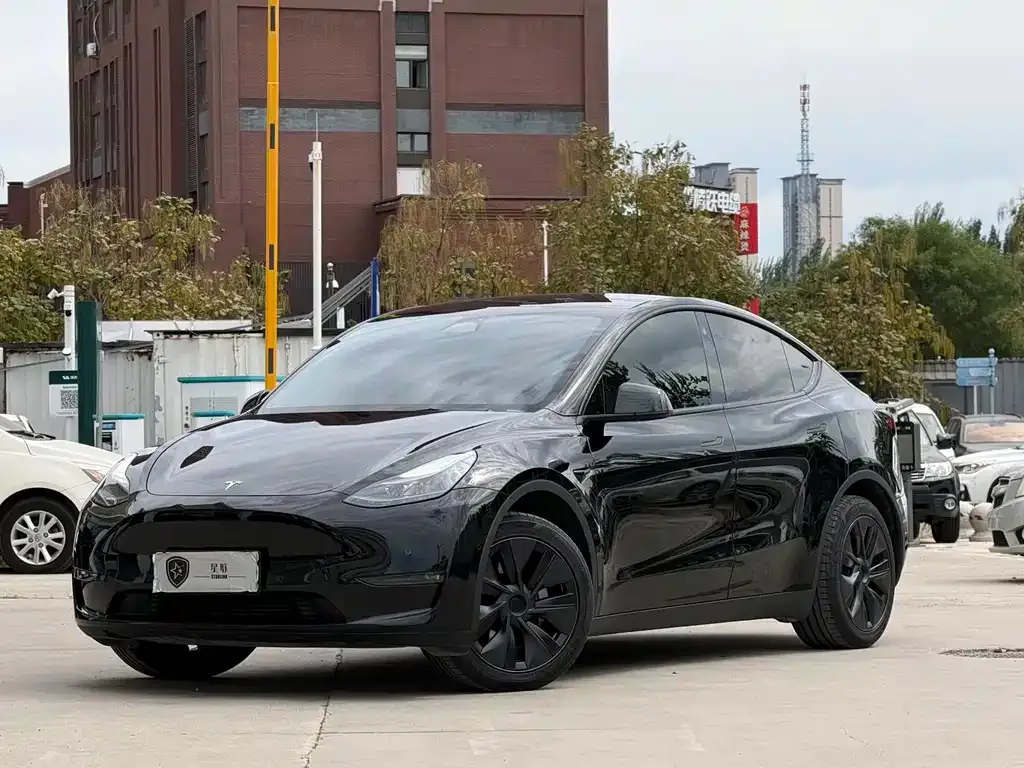 Tesla Model Y — фото 1