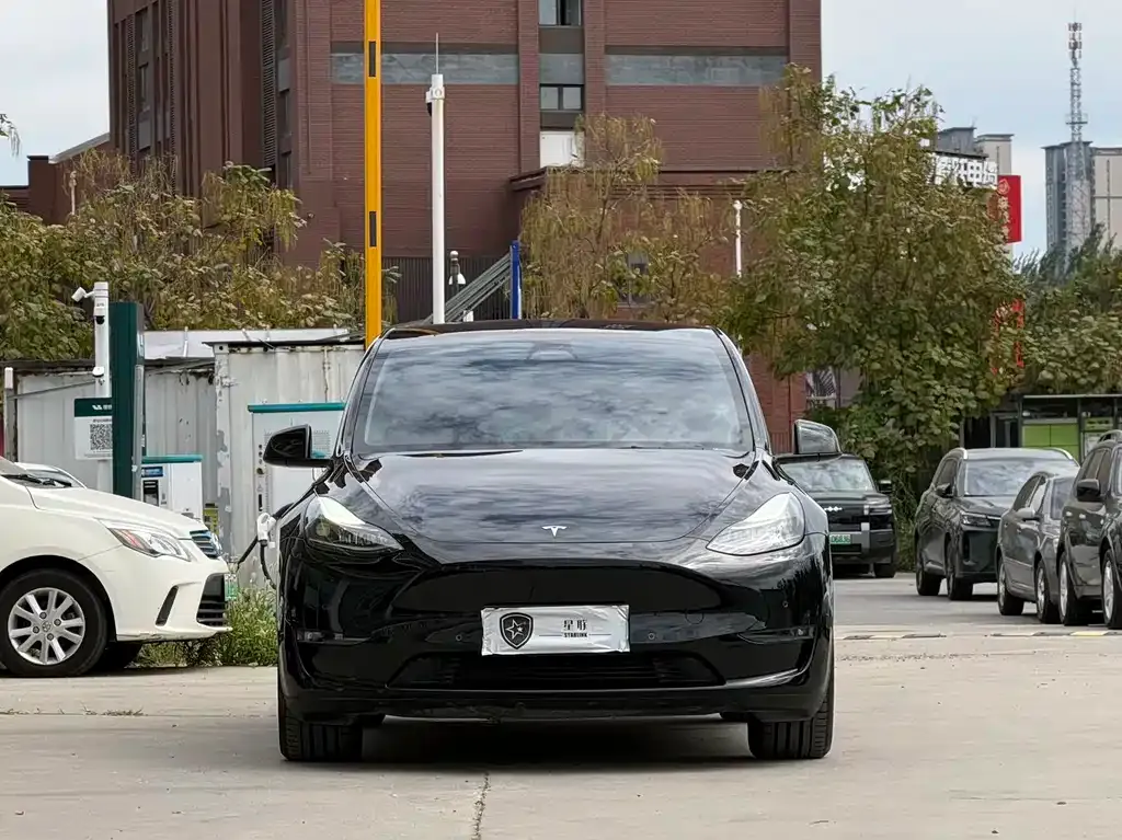 Tesla Model Y — фото 5